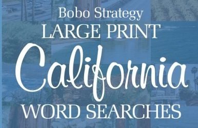 Large Print Cities and Places Series